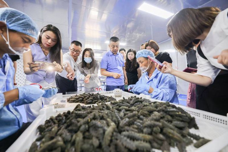 什么是公司的官网?如何高效管理你的官方网站?